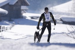 Lenk 2013